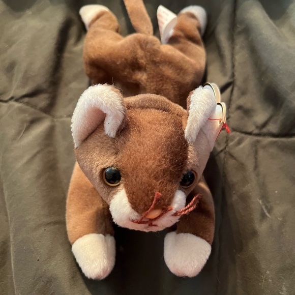 Ty Beanie Baby Cat - Picture 1 of 6